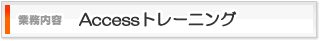 OFFICE LITERAの業務内容:Accessトレーニング